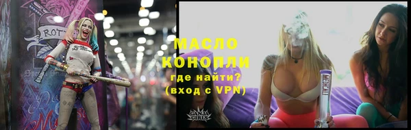 МДПВ Богородск
