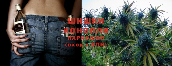 МДПВ Богородск