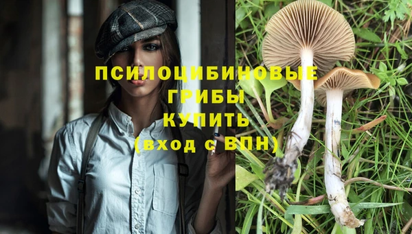 герыч Богородицк