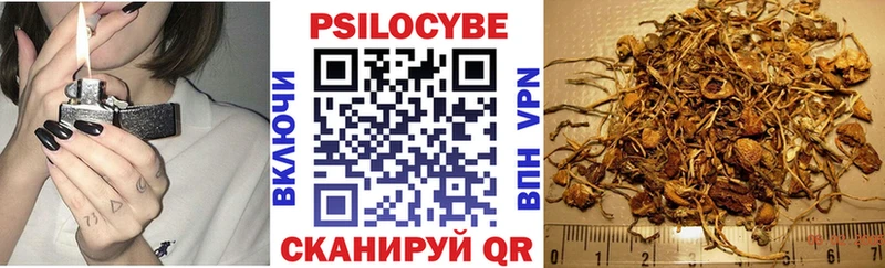 Галлюциногенные грибы Cubensis  Дюртюли 